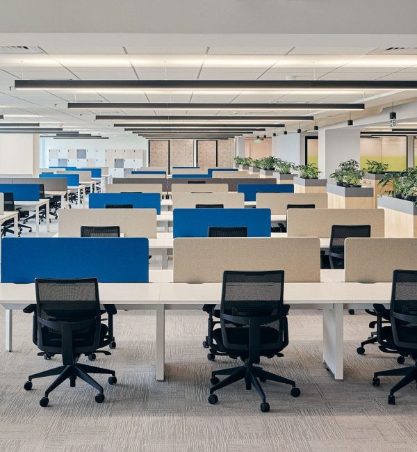 Office Office